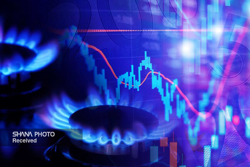 مصرف ۵۹۲ میلیون مترمکعب گاز در بخش خانگی