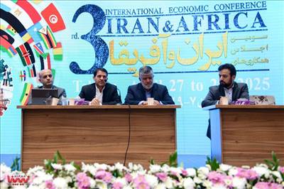 همکاری‌های پتروشیمی ایران و آفریقا گسترش می‌یابد